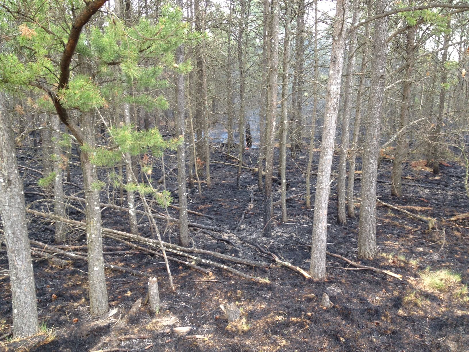 UPDATE Forest Fire in Oscoda County 100 Contained Northern Michigan